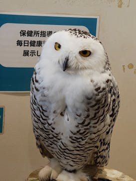 アニタッチみなとみらいに投稿された画像（2025/8/22）