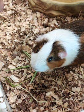 アニタッチみなとみらいに投稿された画像（2025/8/22）