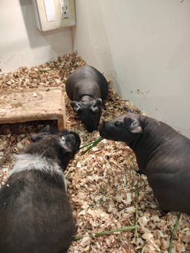 アニタッチみなとみらいに投稿された画像（2025/8/22）