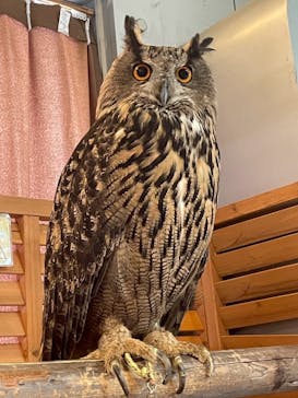 ポルトヨーロッパに投稿された画像（2025/8/22）