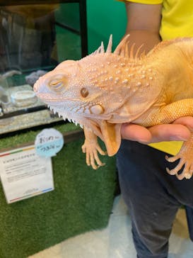 ポルトヨーロッパに投稿された画像（2025/8/22）