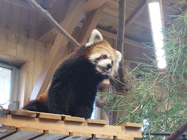 伊豆シャボテン動物公園に投稿された画像（2025/8/22）