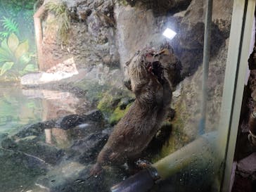 伊豆シャボテン動物公園に投稿された画像（2025/8/22）