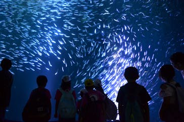 名古屋港水族館に投稿された画像（2025/8/22）