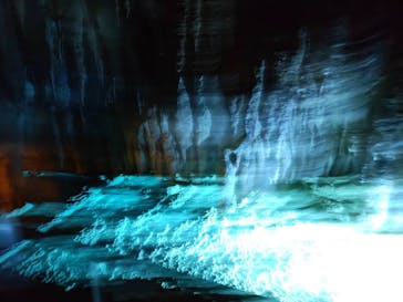 おきなわワールドに投稿された画像（2025/8/22）