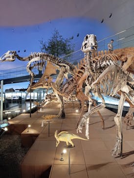 福井県立恐竜博物館に投稿された画像（2025/8/22）