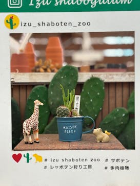 伊豆シャボテン動物公園に投稿された画像（2025/8/22）