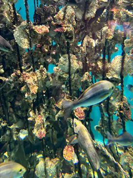 仙台うみの杜水族館に投稿された画像（2025/8/22）