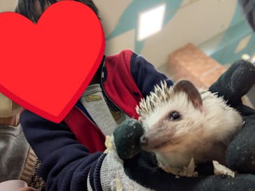 いきもの探検隊上尾に投稿された画像（2025/8/22）