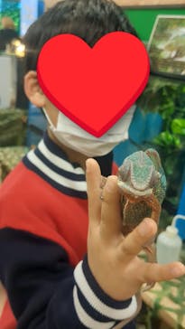 いきもの探検隊上尾に投稿された画像（2025/8/22）