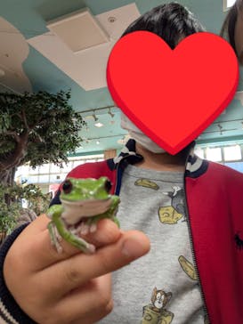 いきもの探検隊上尾に投稿された画像（2025/8/22）