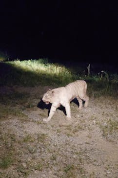 群馬サファリパークに投稿された画像（2025/8/22）