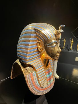 MYSTERY OF TUTANKHAMEN 体感型古代エジプト展に投稿された画像（2025/8/23）
