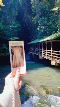 秋芳洞に投稿された画像（2025/8/23）