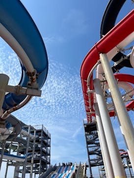 芝政ワールドに投稿された画像（2025/8/23）