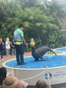 サンシャイン水族館に投稿された画像（2025/8/23）