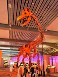 巨大恐竜展2025に投稿された画像（2025/8/23）