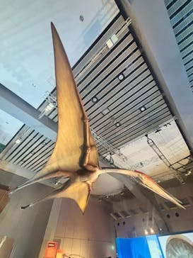 巨大恐竜展2025に投稿された画像（2025/8/23）