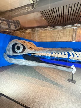 巨大恐竜展2025に投稿された画像（2025/8/23）