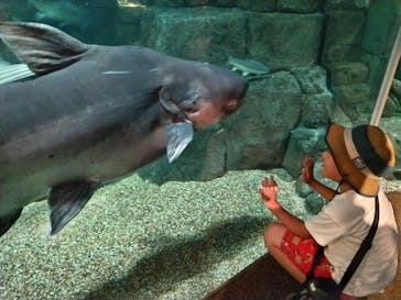 世界淡水魚園水族館　アクア・トトぎふに投稿された画像（2025/8/23）