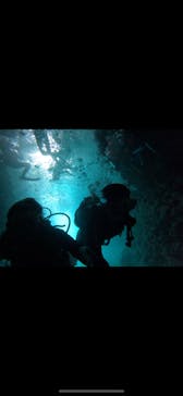 武藤潜水に投稿された画像（2025/8/23）