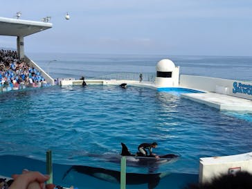 鴨川シーワールドに投稿された画像（2025/8/23）