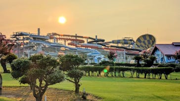 芝政ワールドに投稿された画像（2025/8/23）