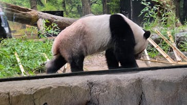 恩賜上野動物園に投稿された画像（2025/8/23）