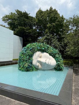 彫刻の森美術館に投稿された画像（2025/8/23）