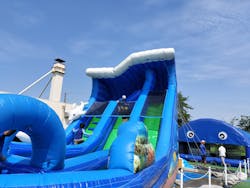 富士見市びん沼自然公園に投稿された画像（2025/8/23）