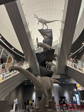 福井県立恐竜博物館に投稿された画像（2025/8/23）