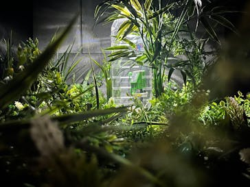 Mozuミニチュア展　ようこそ、ちいさな世界へ in 須賀川に投稿された画像（2025/8/23）