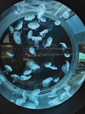 AOAO SAPPOROに投稿された画像（2025/8/23）