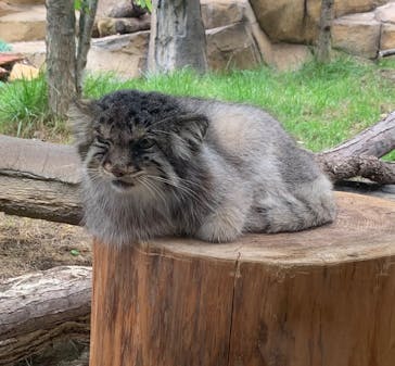 那須どうぶつ王国に投稿された画像（2025/8/23）