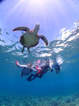 ちゃこたびに投稿された画像（2025/8/23）