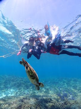 ちゃこたびに投稿された画像（2025/8/23）