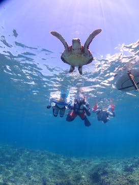 ちゃこたびに投稿された画像（2025/8/23）