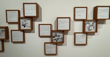 トーベとムーミン展～とっておきのものを探しに～ @森アーツセンターギャラリーに投稿された画像（2025/8/23）