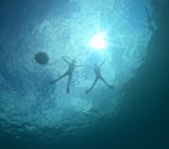 沖縄マリンサービス碧に投稿された画像（2025/8/23）