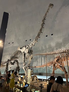 福井県立恐竜博物館に投稿された画像（2025/8/23）