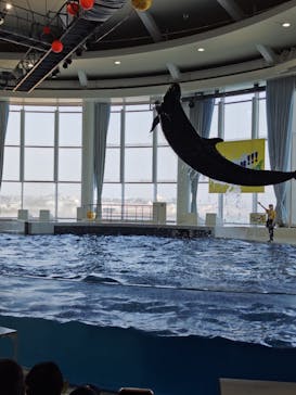アクアワールド茨城県大洗水族館に投稿された画像（2025/8/23）