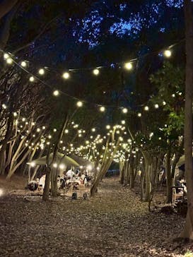 稲毛海浜公園（SUNSET BEACH PARK INAGE）に投稿された画像（2025/8/23）