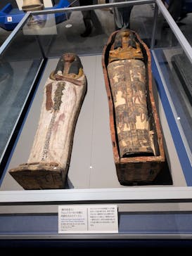 ブルックリン博物館所蔵　特別展　古代エジプト（豊田会場）に投稿された画像（2025/8/23）