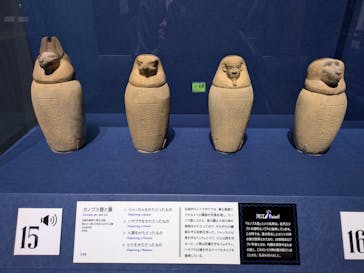 ブルックリン博物館所蔵　特別展　古代エジプト（豊田会場）に投稿された画像（2025/8/23）
