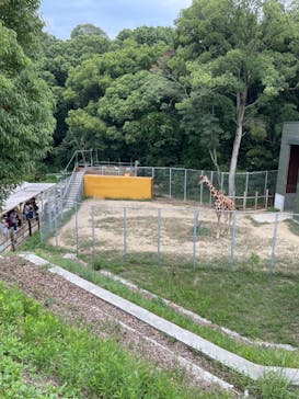 しろとり動物園に投稿された画像（2025/8/23）