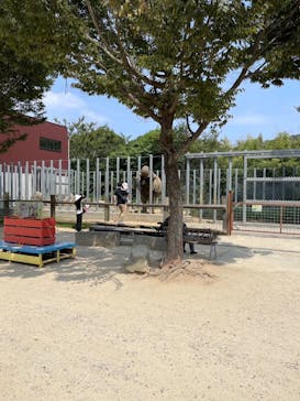 しろとり動物園に投稿された画像（2025/8/23）