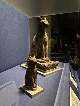 ブルックリン博物館所蔵　特別展　古代エジプト（豊田会場）に投稿された画像（2025/8/23）