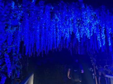 ニジゲンノモリに投稿された画像（2025/8/23）