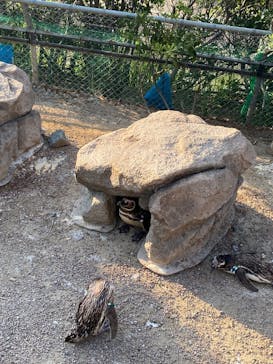 上越市立水族博物館 うみがたりに投稿された画像（2025/8/23）