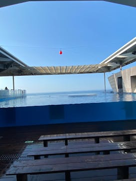 上越市立水族博物館 うみがたりに投稿された画像（2025/8/23）